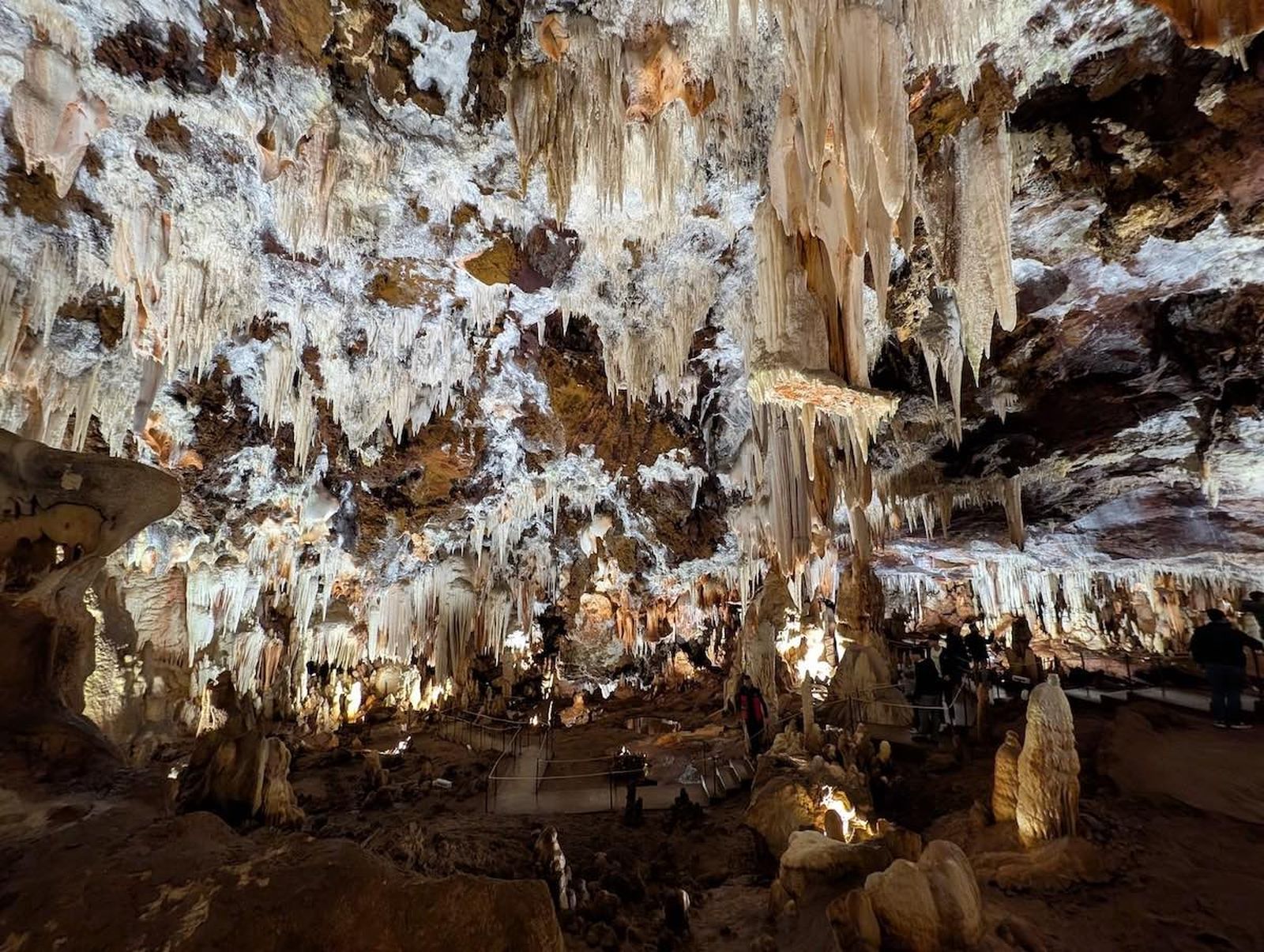 avila-cueva-aguila-portada