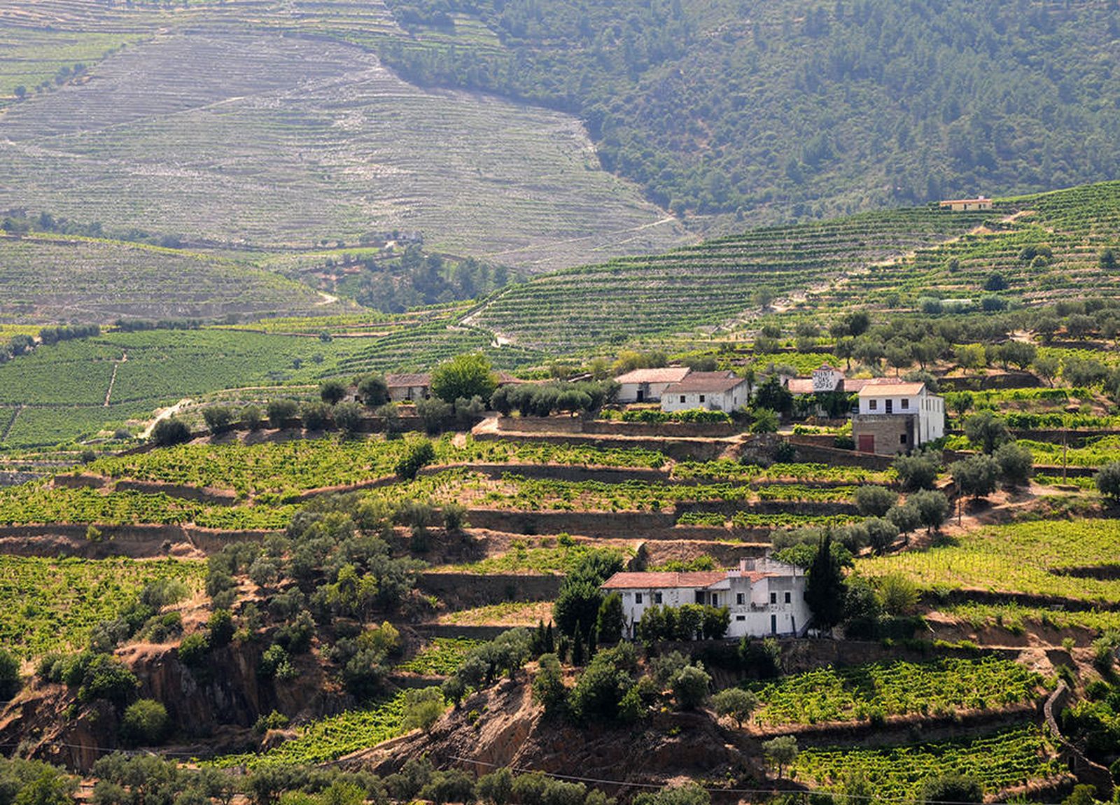 portugal tras os montes