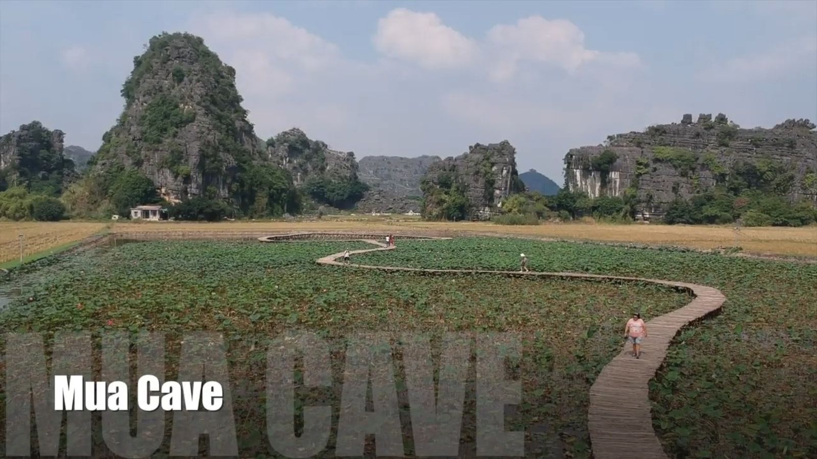 Vídeo vertical Vietnam