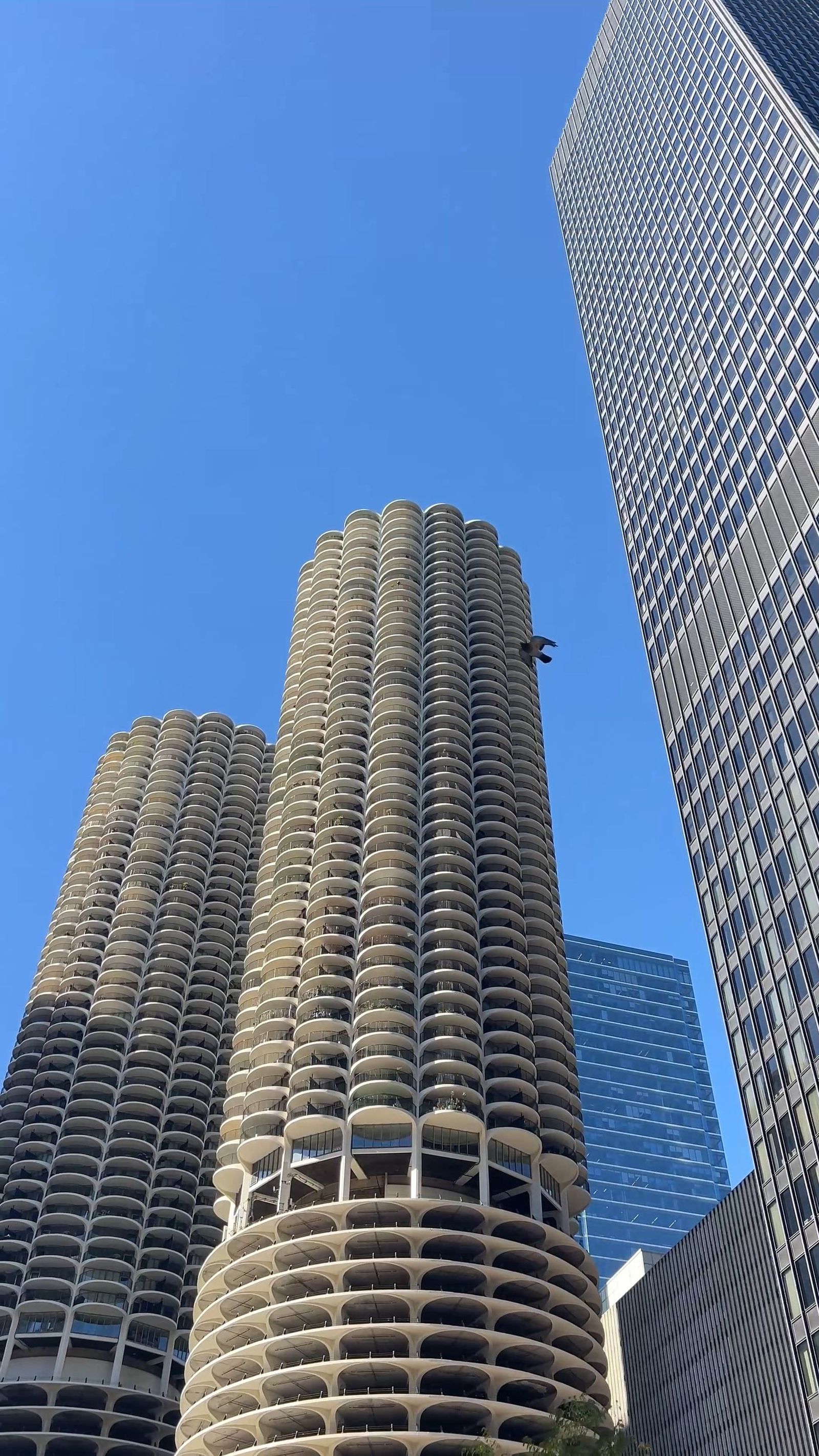 Ciudad