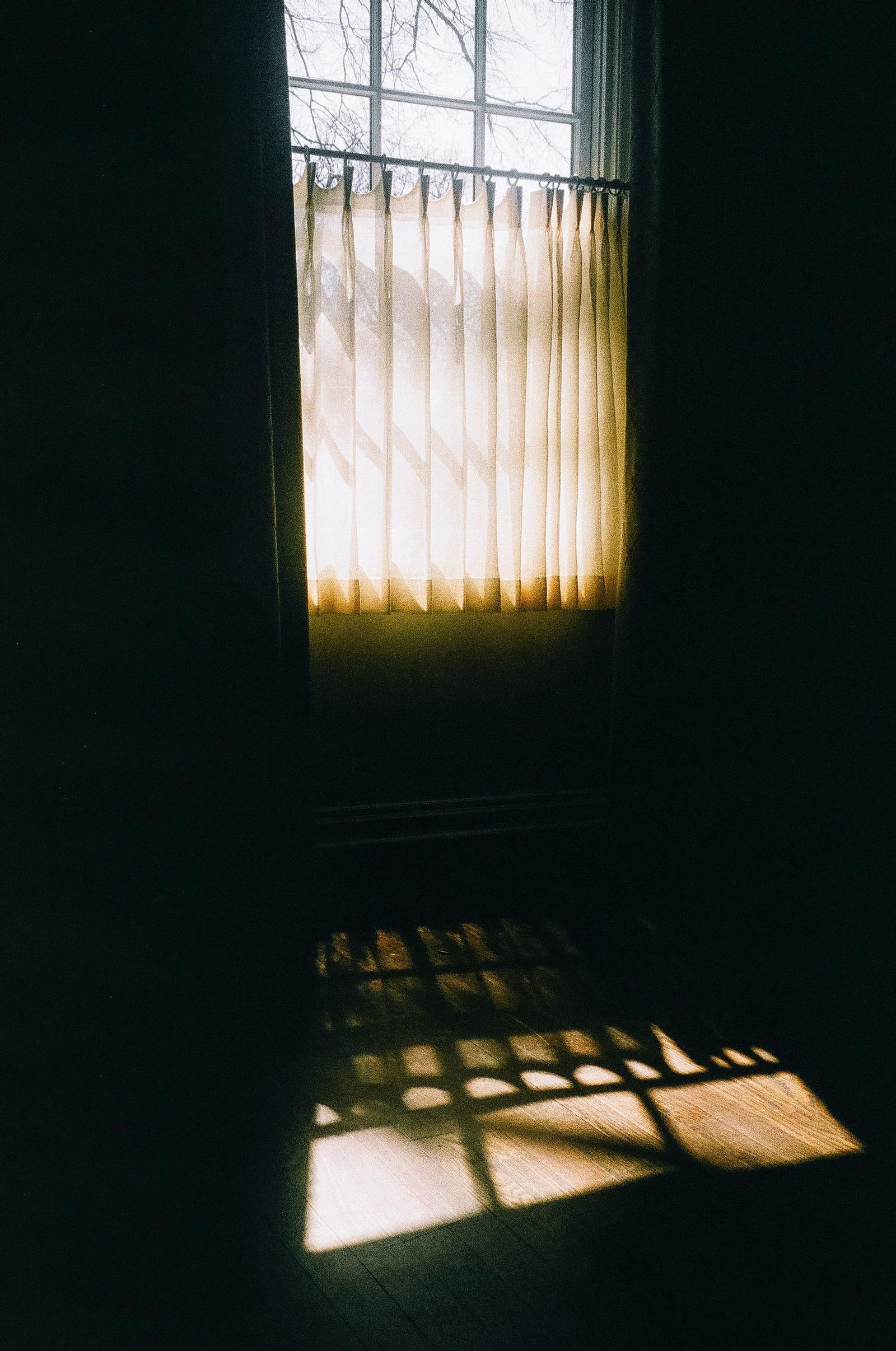 Luz y oscuridad
